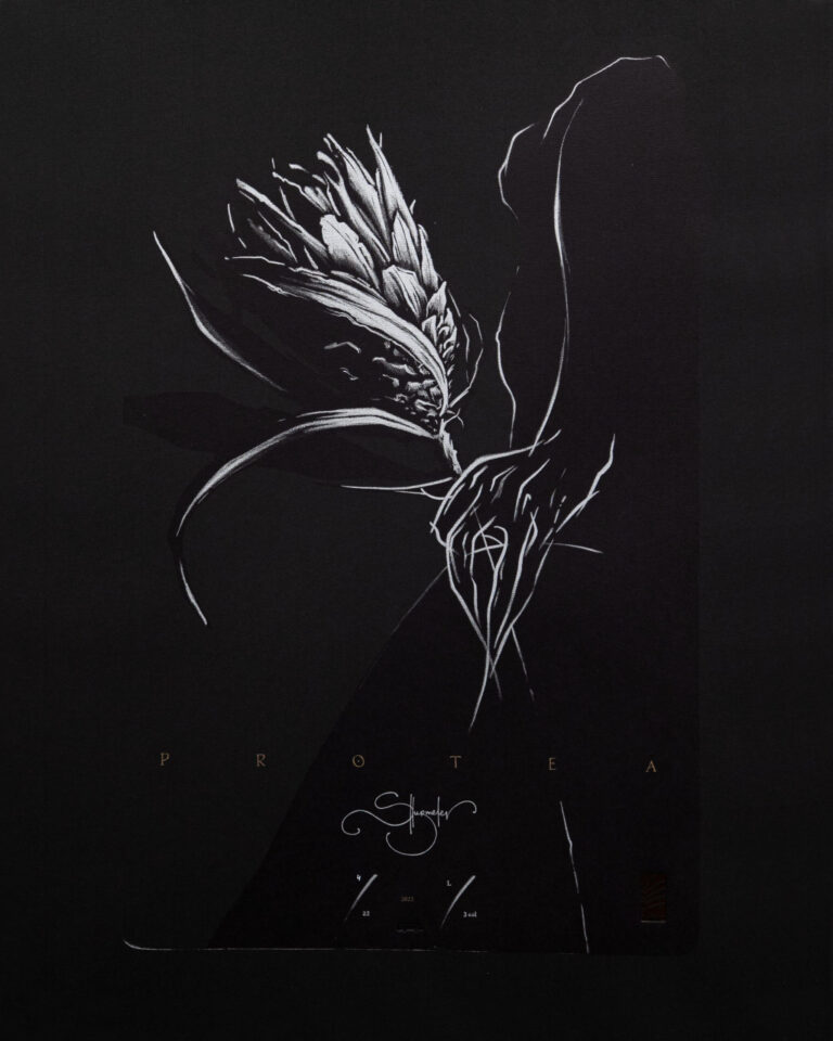 6